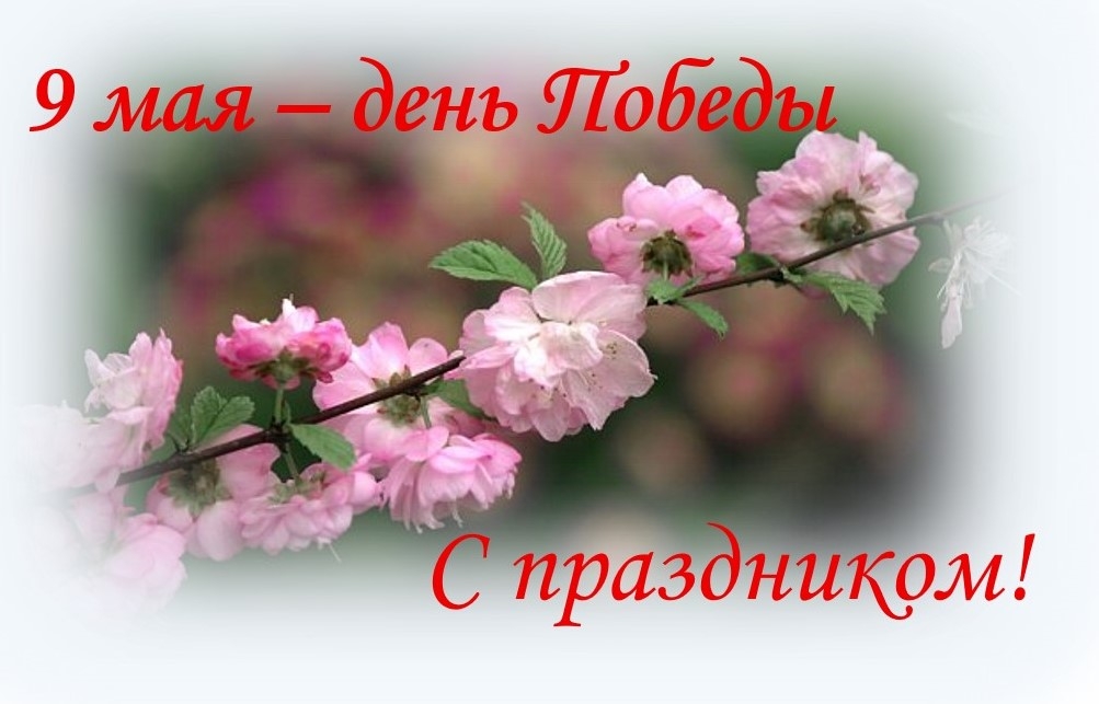 На картинке изображена ветка цветущего дерева с розовыми цветками. Сверху надпись красным буквами  &laquo;9 мая - День Победы&raquo;, снизу &laquo;С праздником!&raquo;