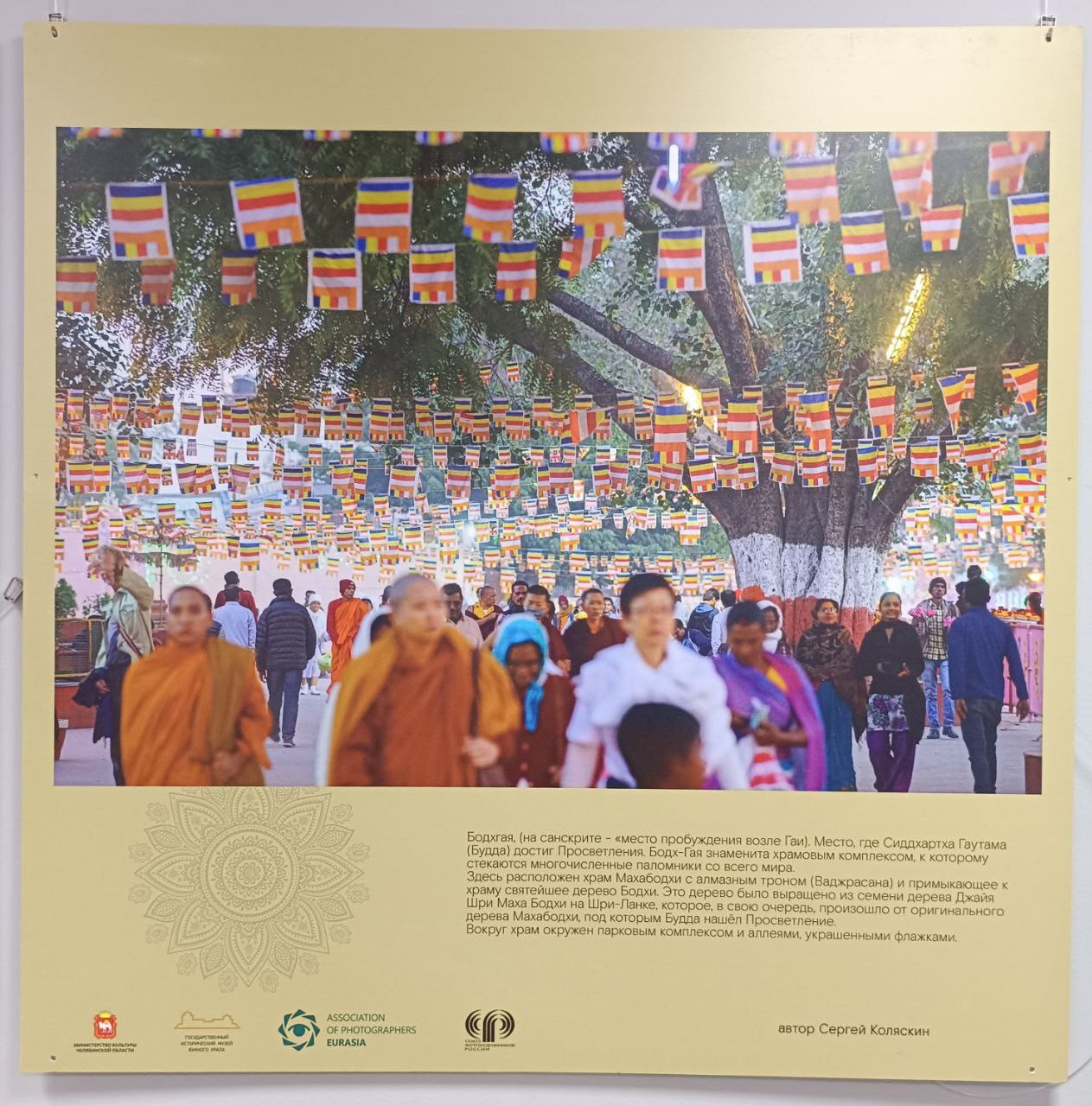 Фотоработы