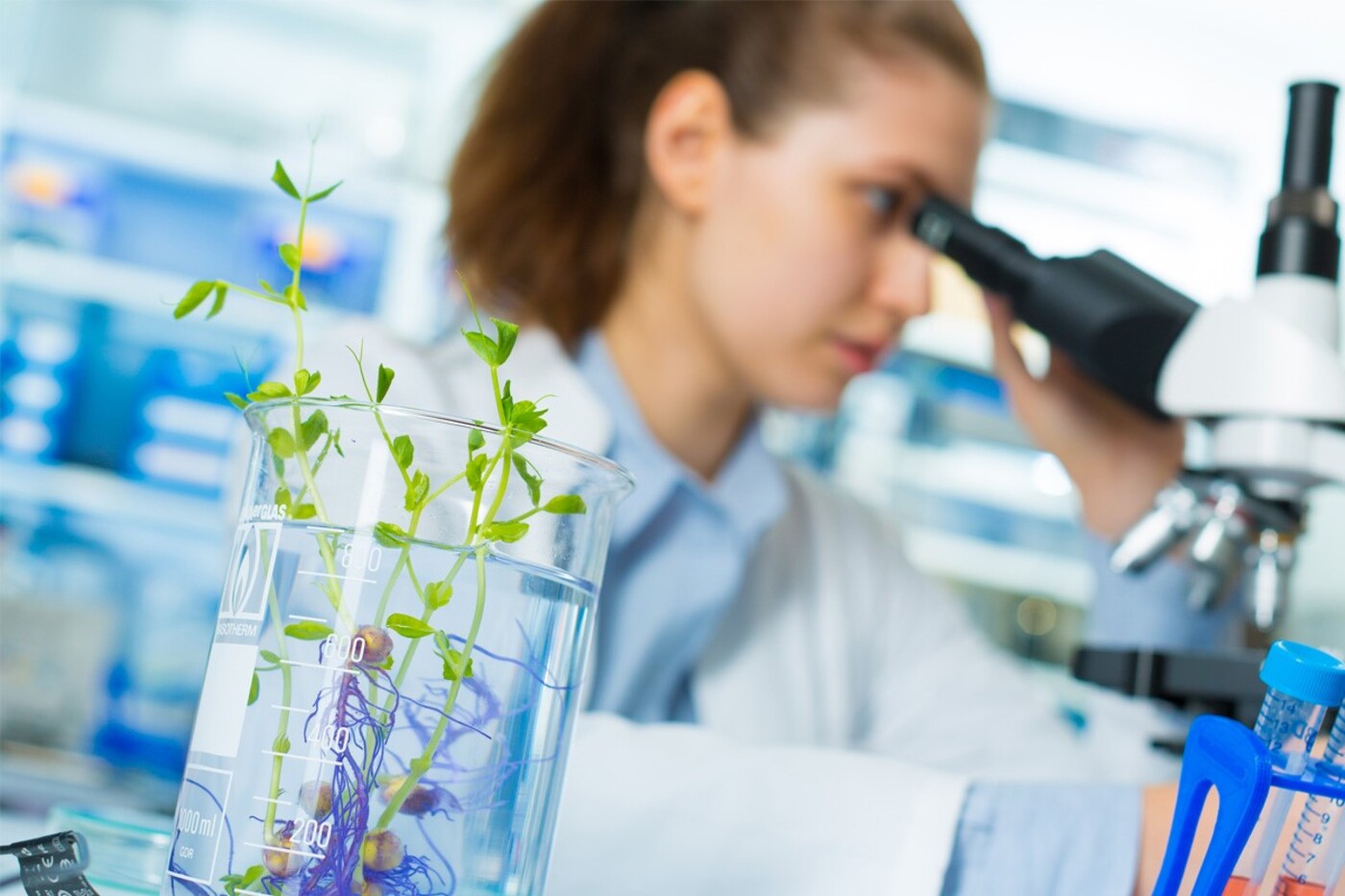 Девушка в белом халате смотрит в микроскоп, рядом прозрачный кувшин с мерными делениями, наполненный водой, в нем растение