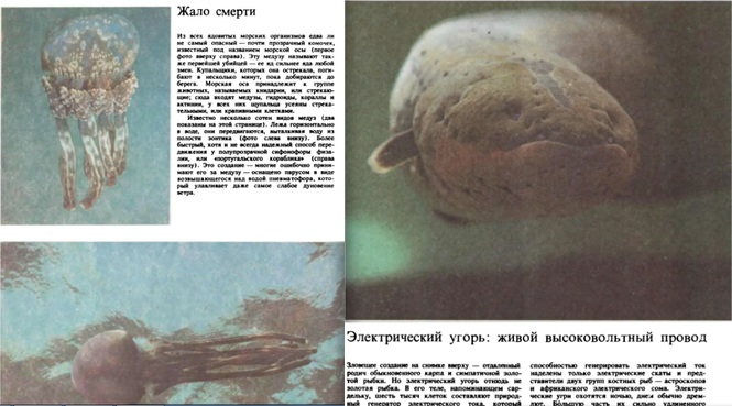 Иллюстрации из книги