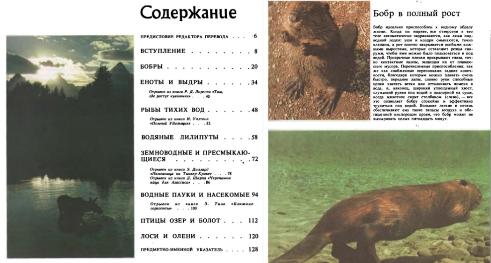 Иллюстрации из книги