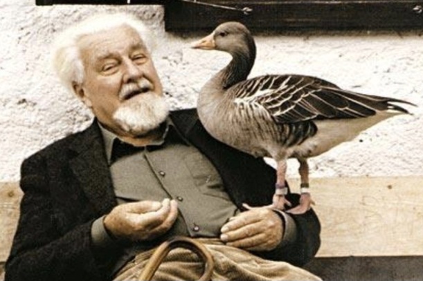 Конрад Лоренц